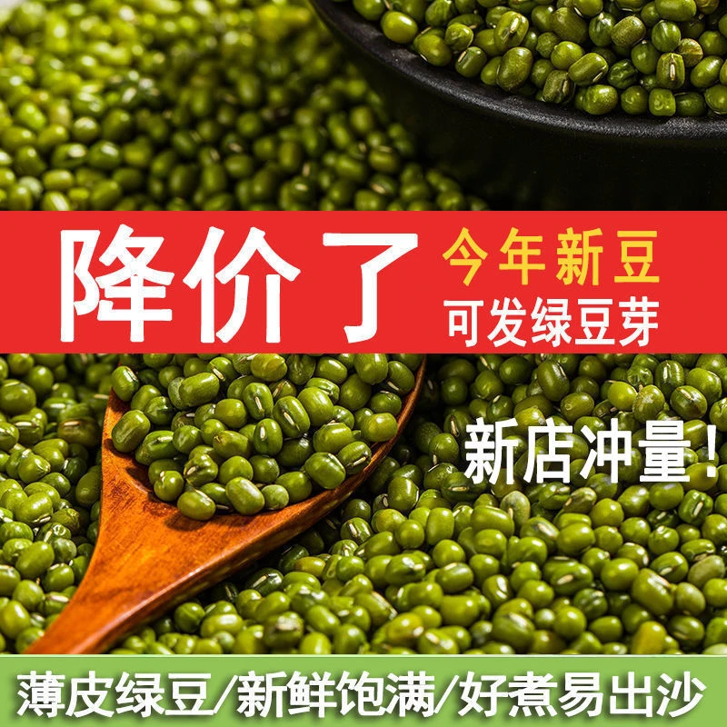 农家绿豆新绿豆500g包邮绿豆粥解暑绿豆汤笨绿豆发豆芽绿豆糕