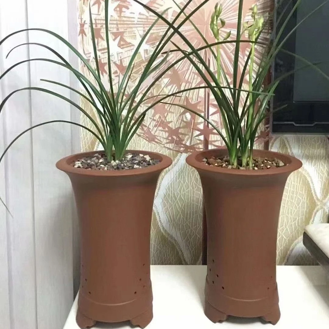 宜兴林家紫砂花盆 春剑蕙兰墨兰专用花盆【32大束腰】