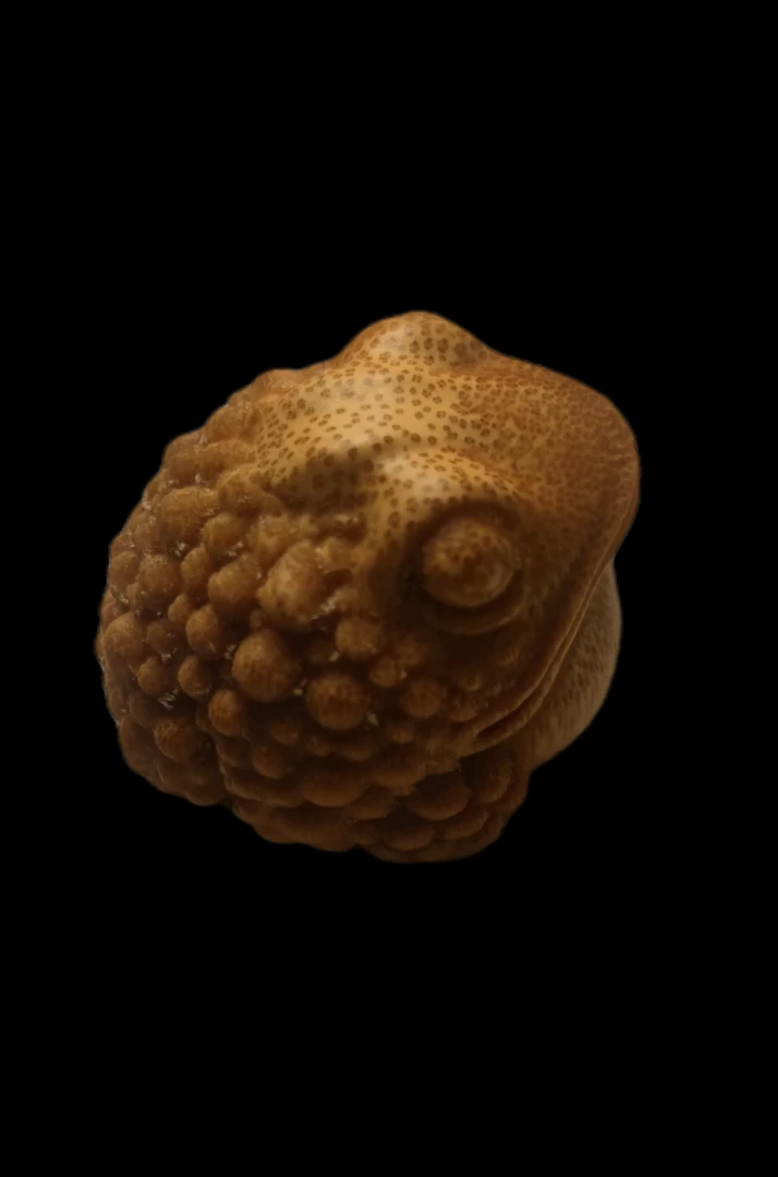 竹根雕迷你小金蟾