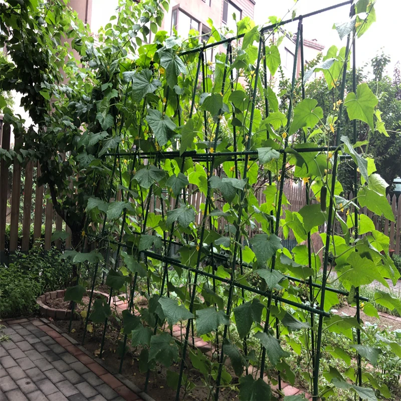 菜园蔬菜爬藤架网植物种植攀爬支架杆种菜丝瓜黄瓜豆角架园艺架子