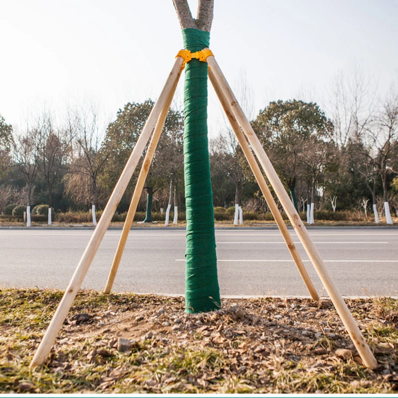树木支撑固定器支撑架杆杉木松木杨木棍园林绿化防风工程稳定支架