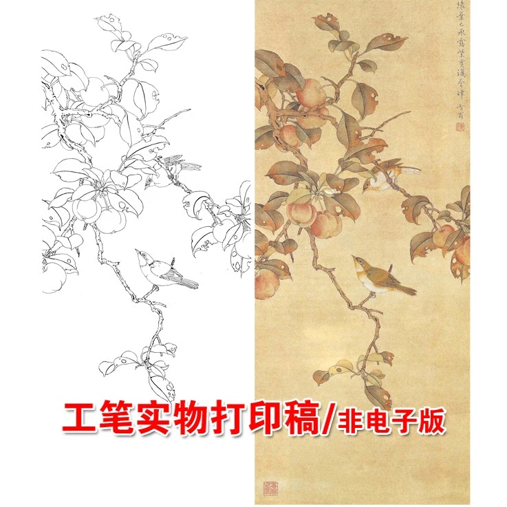 高清工笔画陈之佛原大竖幅国画白描底稿临摹透稿实物打印稿L71