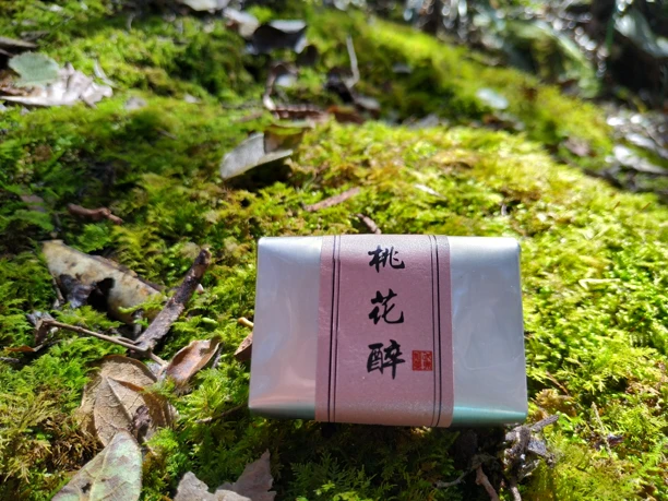 遇岩骨正宗武夷红茶桃花醉品鉴装