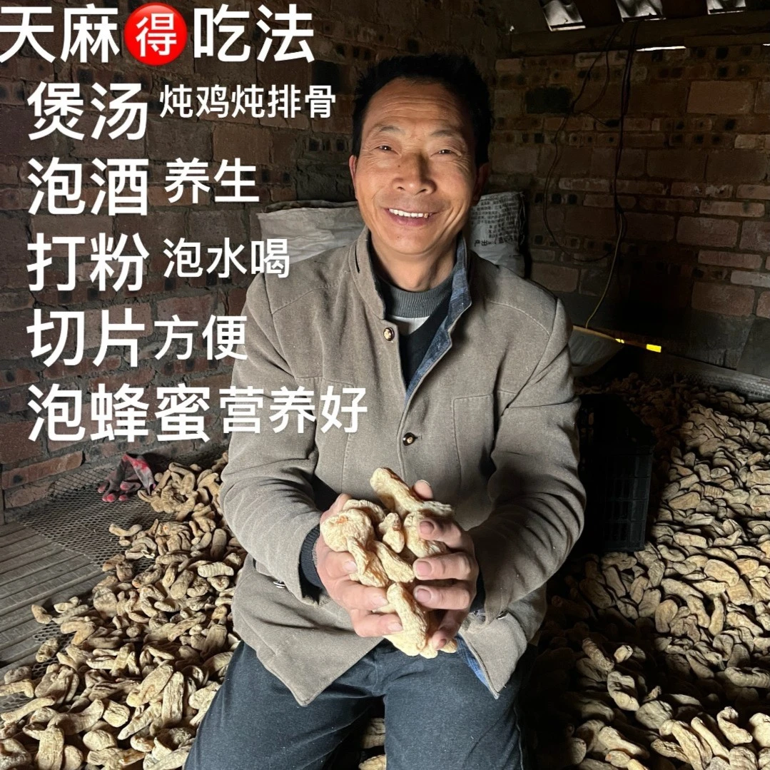 【山货】天麻一斤起拍正宗云南昭通小草坝天麻非板栗