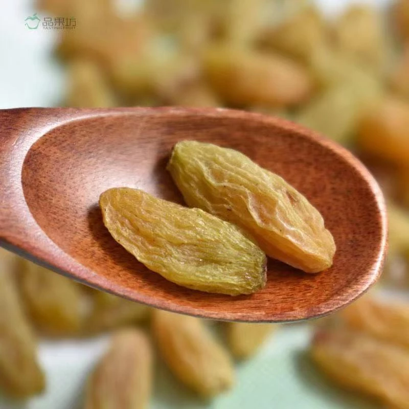 吐鲁番黄葡萄干树上黄新疆特产无核自然风干软糯饱满