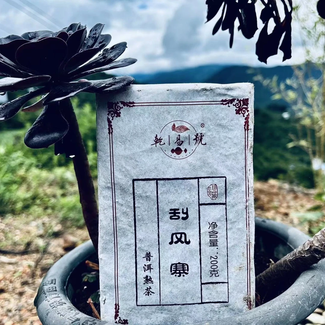 QIANYIHAO/乾易号乾易号 刮风寨