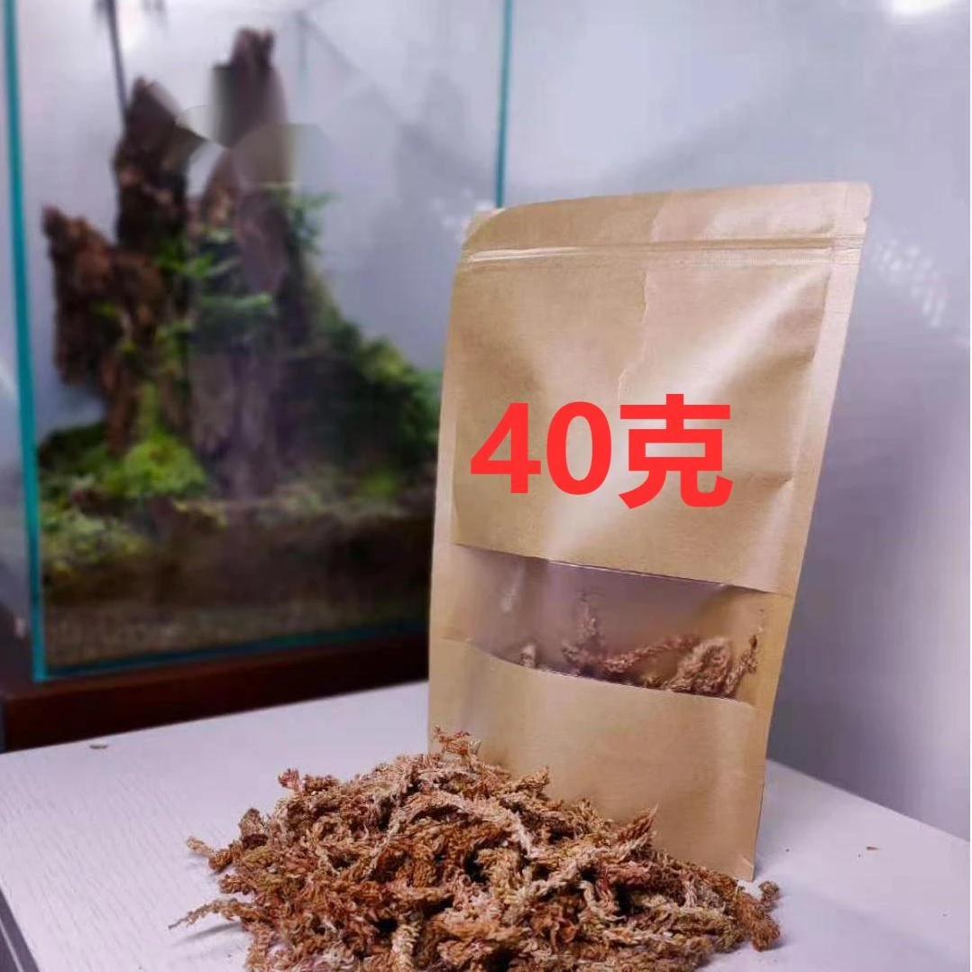 屾草干水苔，微景观素材