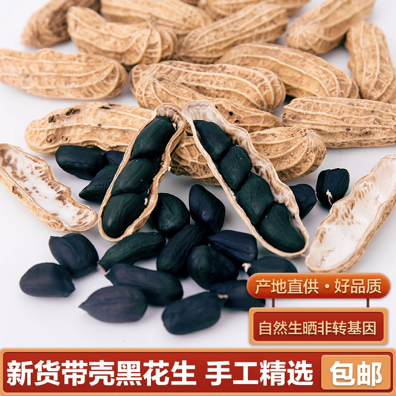 正宗新黑花生带壳叶菜富硒黑皮籽农家特产干货农产品500g包邮