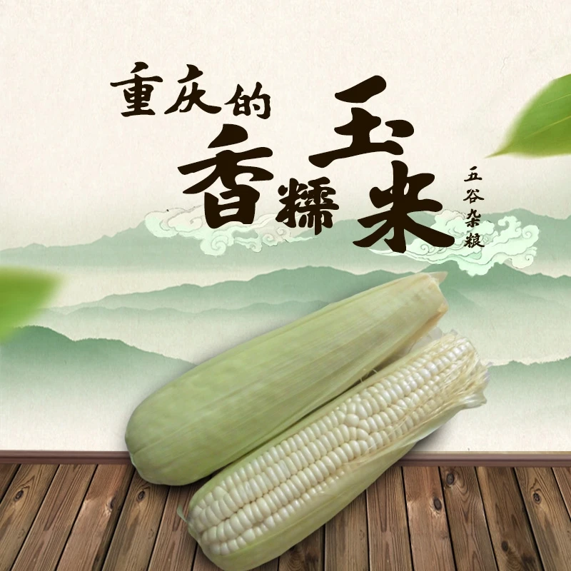 重庆现摘鲜玉米棒白糯玉米带壳发货3根5斤9斤包邮