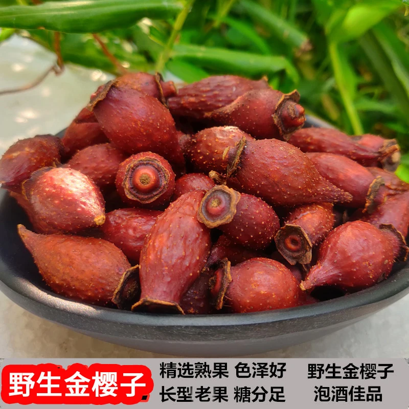金樱子 广西金英子肉 野生糖果刺梨子泡酒男性糖罐刺榆子三蒸三晒