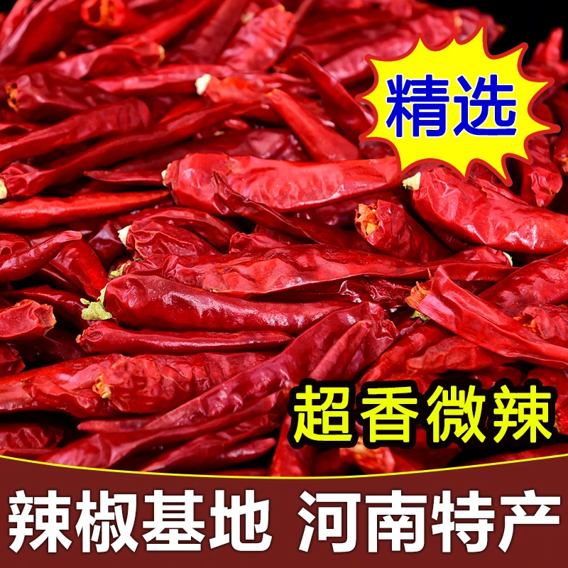 农家现晒干辣椒微辣特香子弹头新品干货河南特产特辣超辣椒段500g