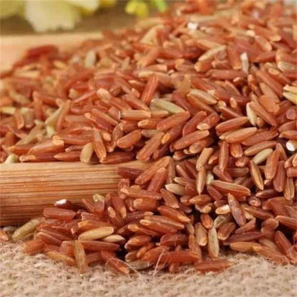 食用农家产品红香米5斤精装/糙米5斤精装精品
