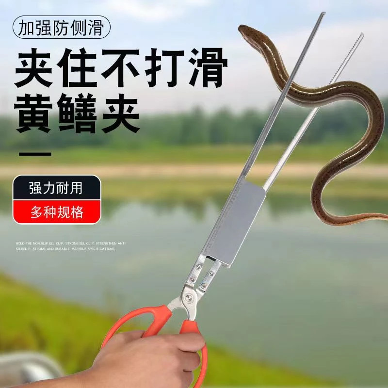 新款防跑偏黄鳝夹子 螃蟹夹子 泥鳅夹子
