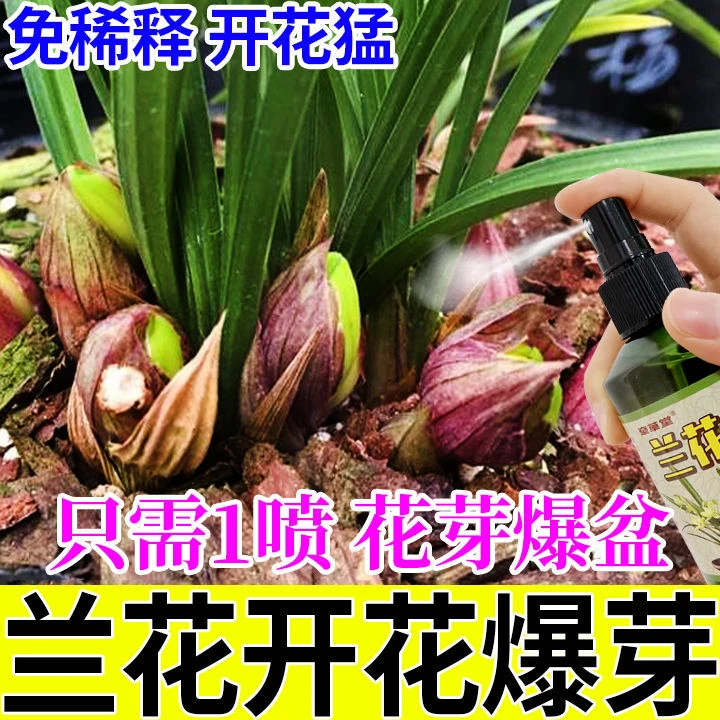 兰花营养液【猛爆芽开花】家用植物肥料免稀释兰花专用肥肥料
