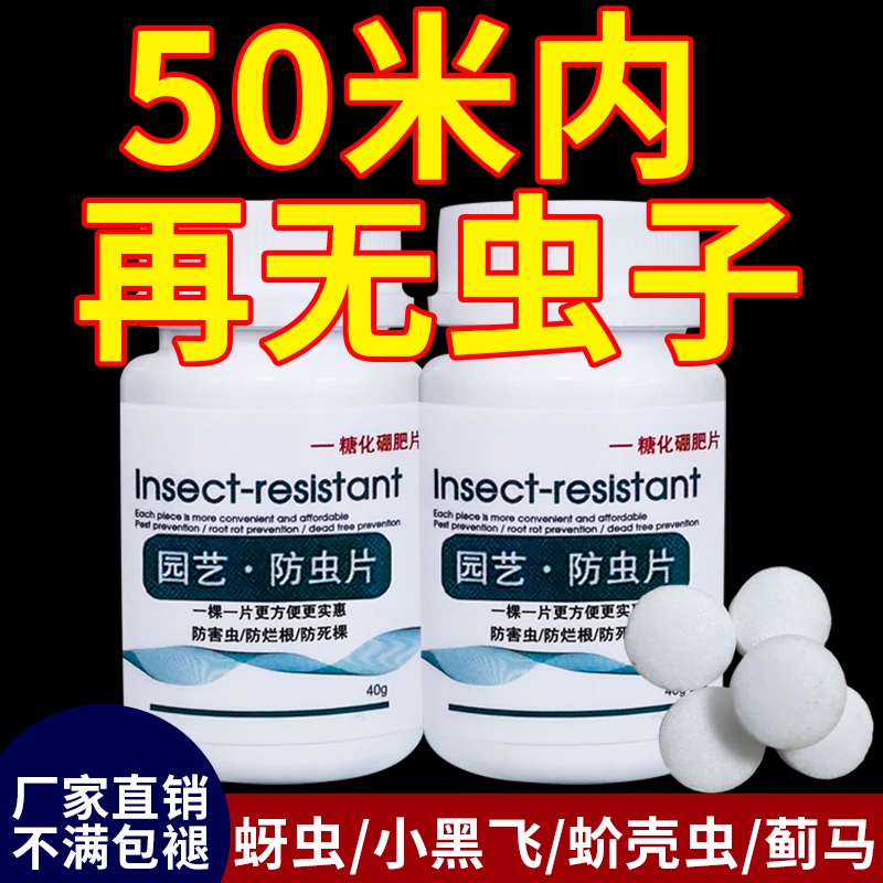 园艺防虫片小黑飞蚜虫白粉虱小菜蛾飞虫红蜘蛛花卉绿植通用小白药