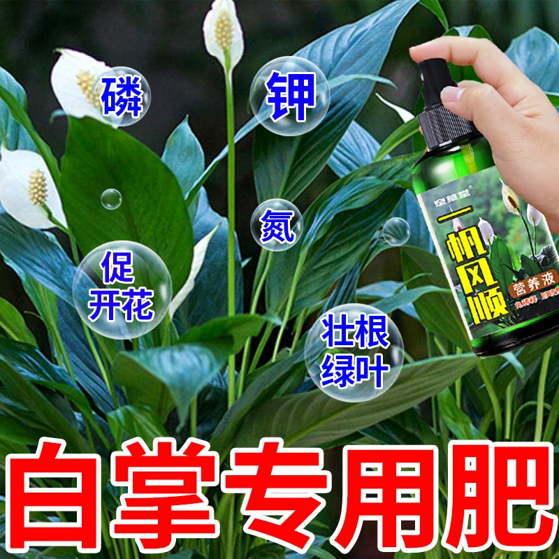 一帆风顺水培土培家用免稀释营养液红掌白掌花肥料植物盆栽专用肥