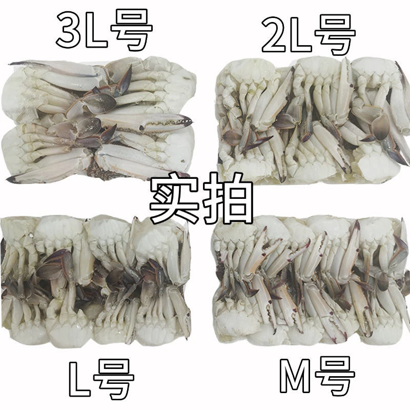 连云港发货 精选蟹块品质保证梭子蟹蟹块（送香辣蟹酱包）
