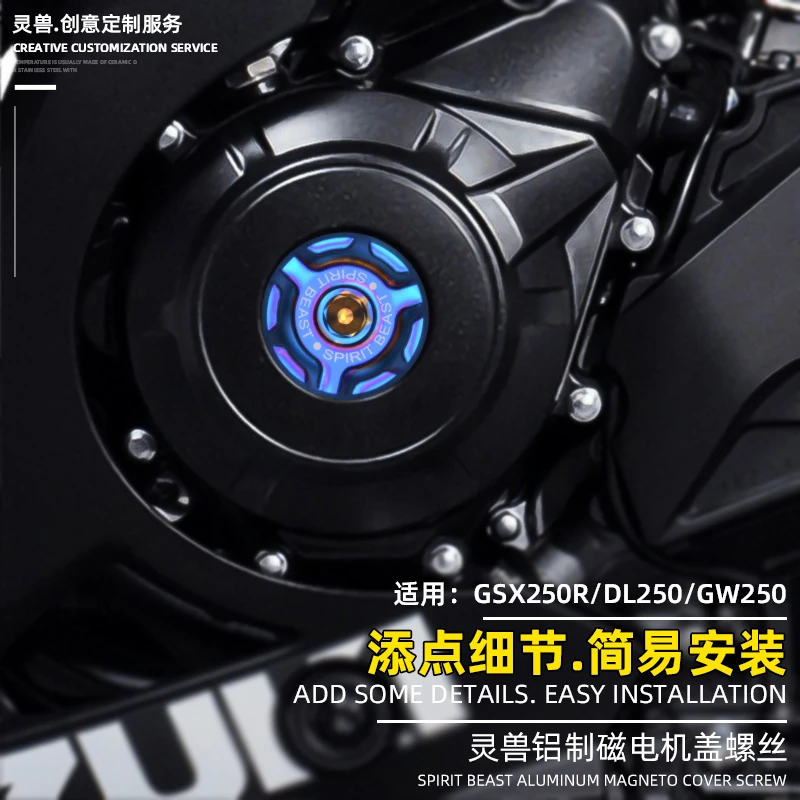 GSX250R发动机螺丝灵兽改装配件适用铃木GW摩托车DL磁电机盖螺塞