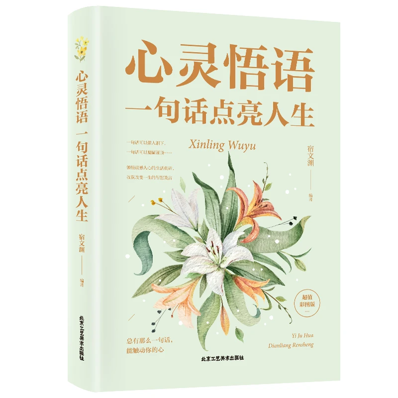 心灵悟语 一句话点亮人生 青春文学成功励志书籍