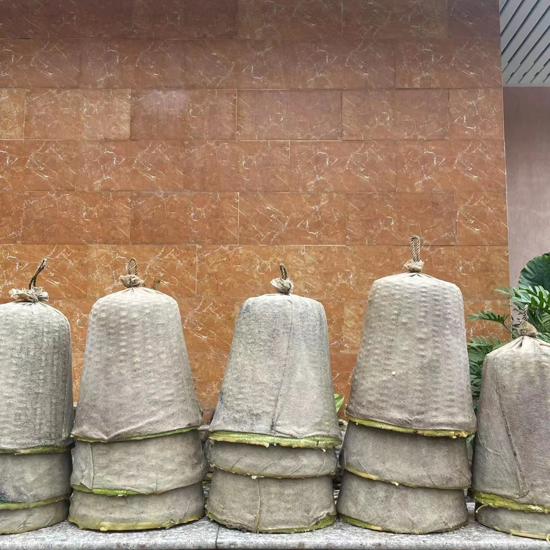 收蜂笼诱蜂笼竹制捕蜂笼蜜蜂养殖工具