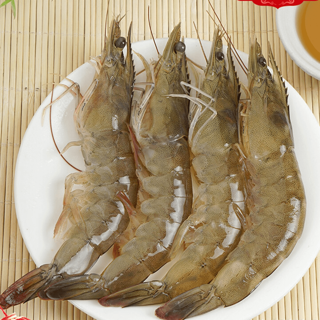 连云港发货海水大虾 每只13-15cm单只活冻肉质Q弹