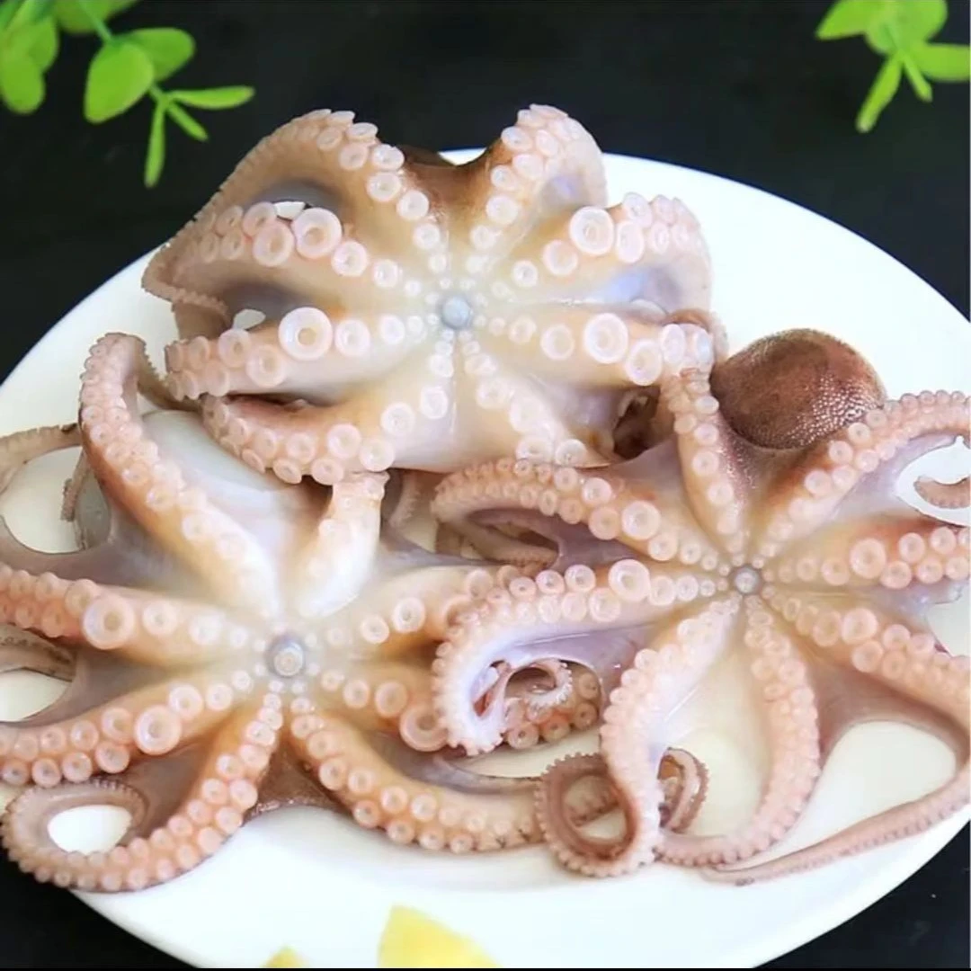 山东渤海湾八爪鱼2-4斤（半干）