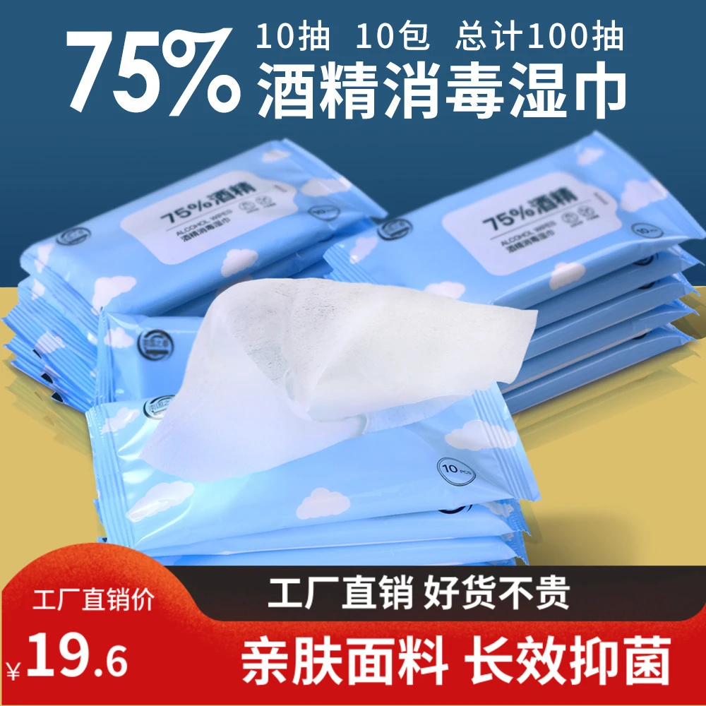 南国之春5包10片 75%酒精湿巾便携式10抽随身装家用抑菌清洁