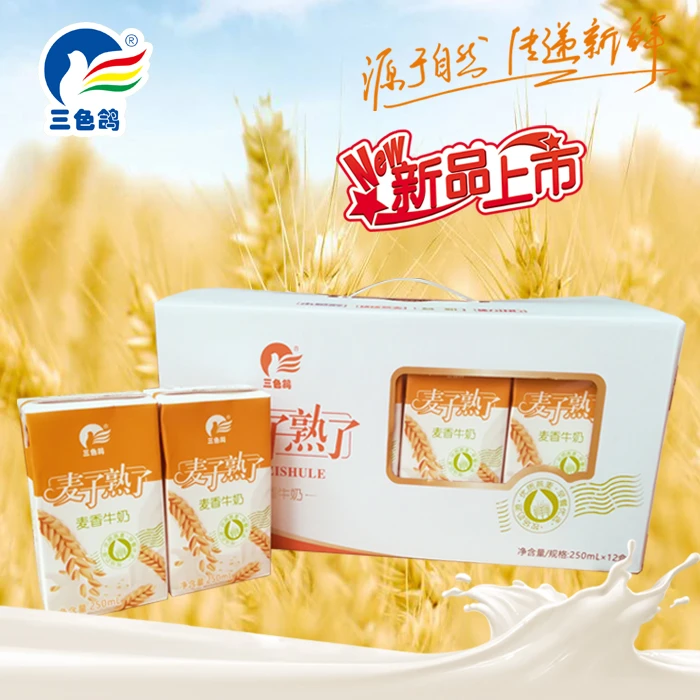 三色鸽健康至上禾您一起三色鸽麦子熟了麦香牛奶12盒* 250ml*2