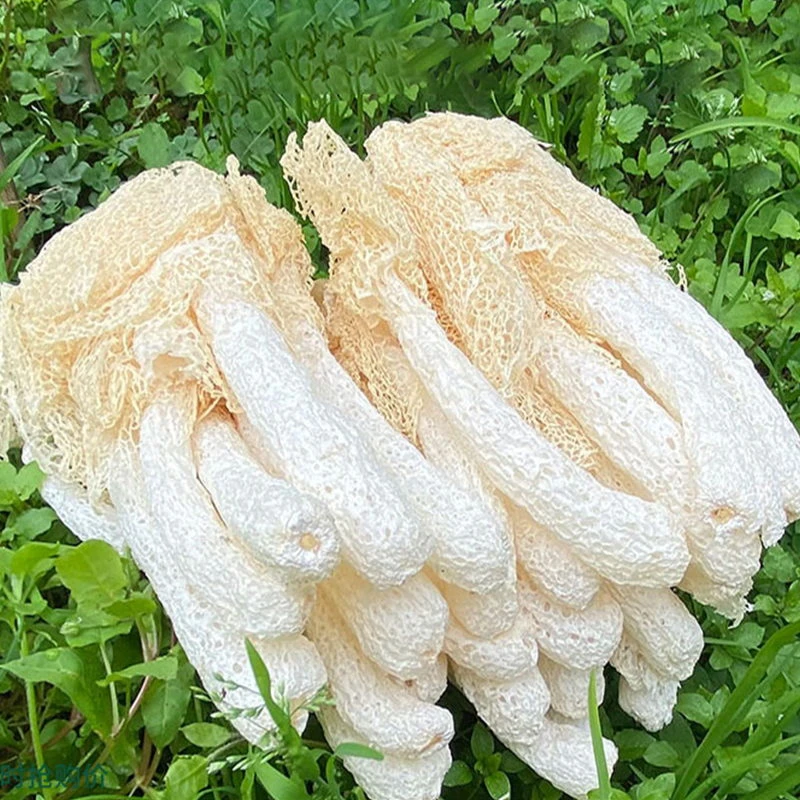 龙泉天然(竹荪)50g/150g/250g 包邮