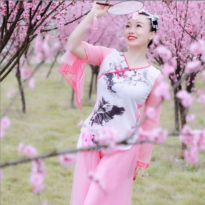 广场舞国风水墨纱袖舞蹈服上衣 DY2028服装