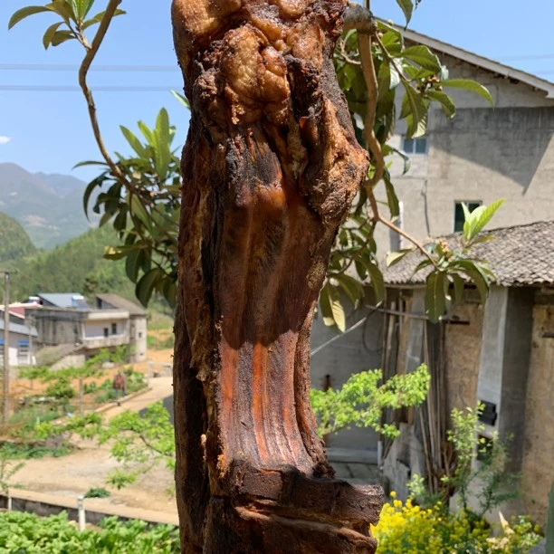农村土猪宝肋腊肉（整块）6-10斤