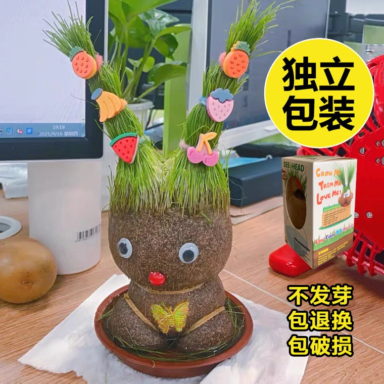 创意长草娃娃桌面迷你草头娃娃小盆栽卡通办公室青草种植儿童礼品