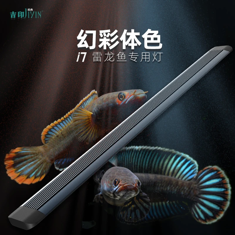 吉印雷龙鱼专用灯增色增艳发色灯专业鱼缸照明灯led防水观赏鱼灯