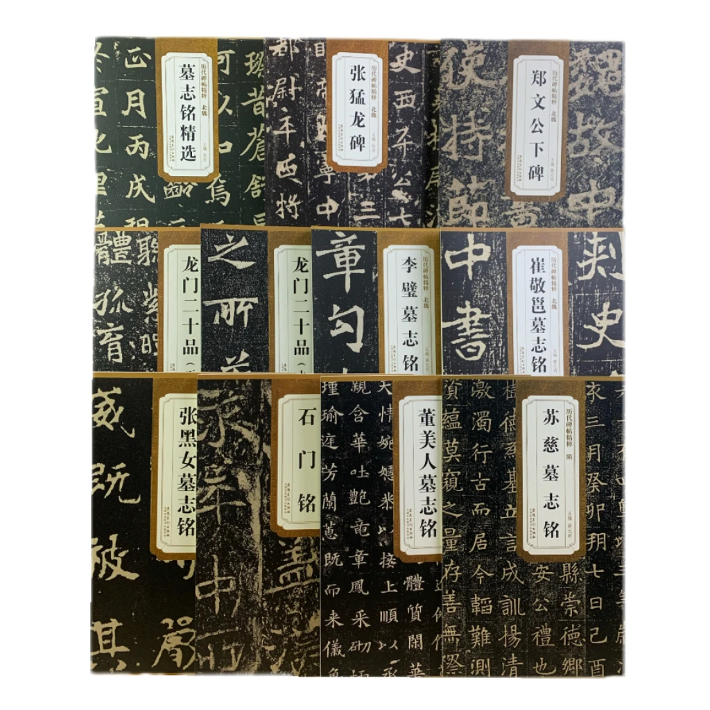 历代碑帖精粹a之墓志铭10种李璧崔敬邕张猛龙张黑女龙门二十品北