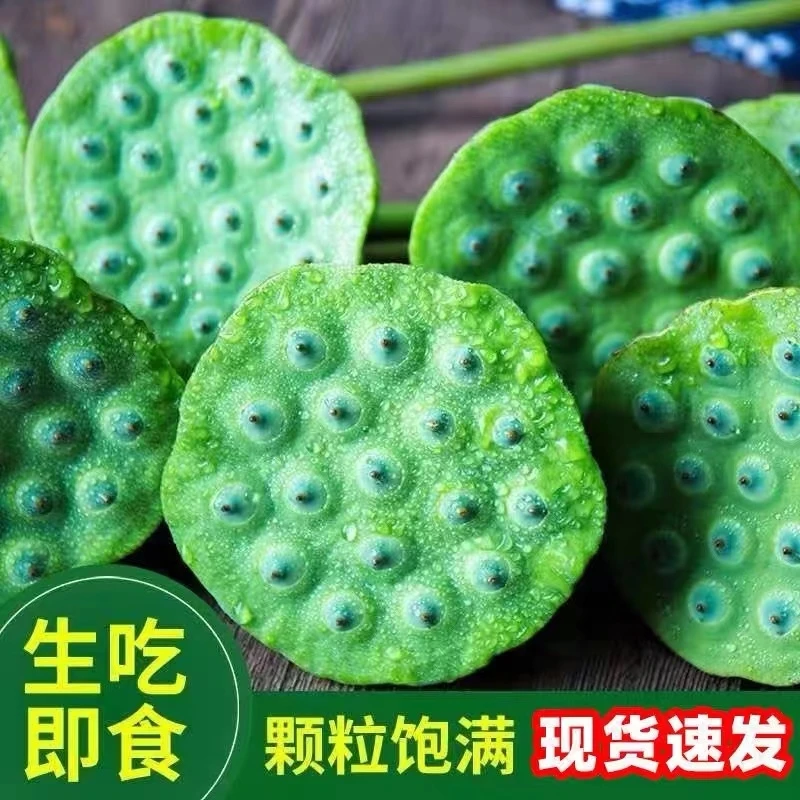 水果莲蓬湖北洪湖现摘生吃鲜嫩莲蓬清甜即食新鲜莲子2斤冷链加冰