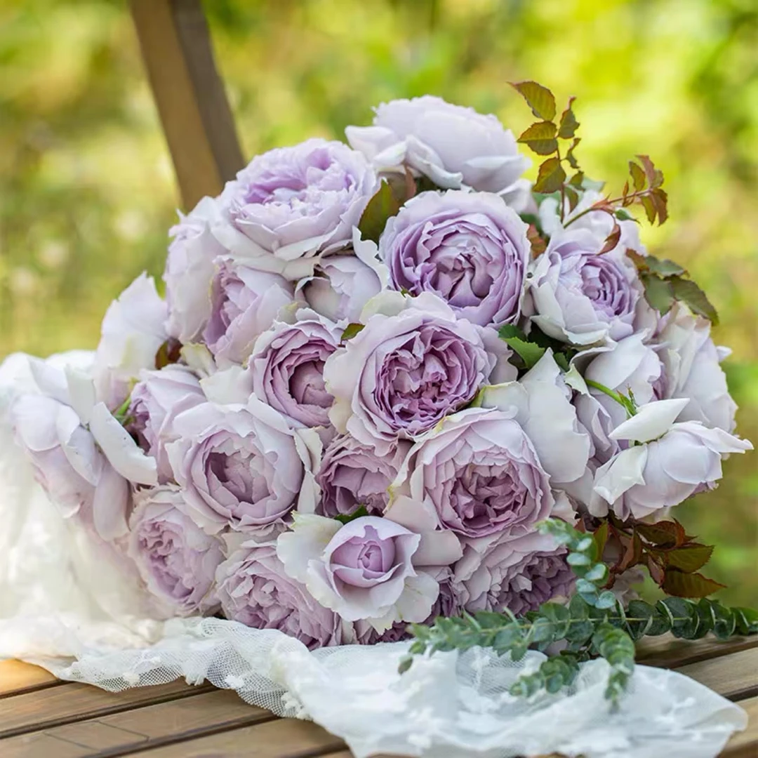 [3棵包邮】隐隐青 新品 灌木浓香小苗