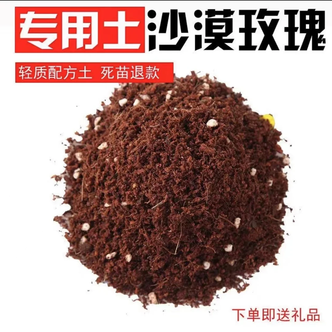 老爸的沙漠玫瑰专用土透气煤炭土椰糠营养土不生虫不烂根多肉有机