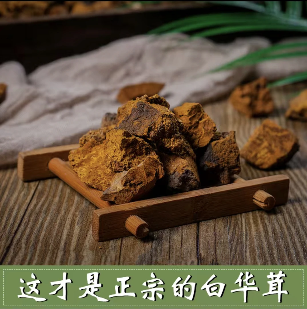 俄罗斯西伯利亚桦树茸 白桦茸桦树泪桦褐孔菌 250g/500克