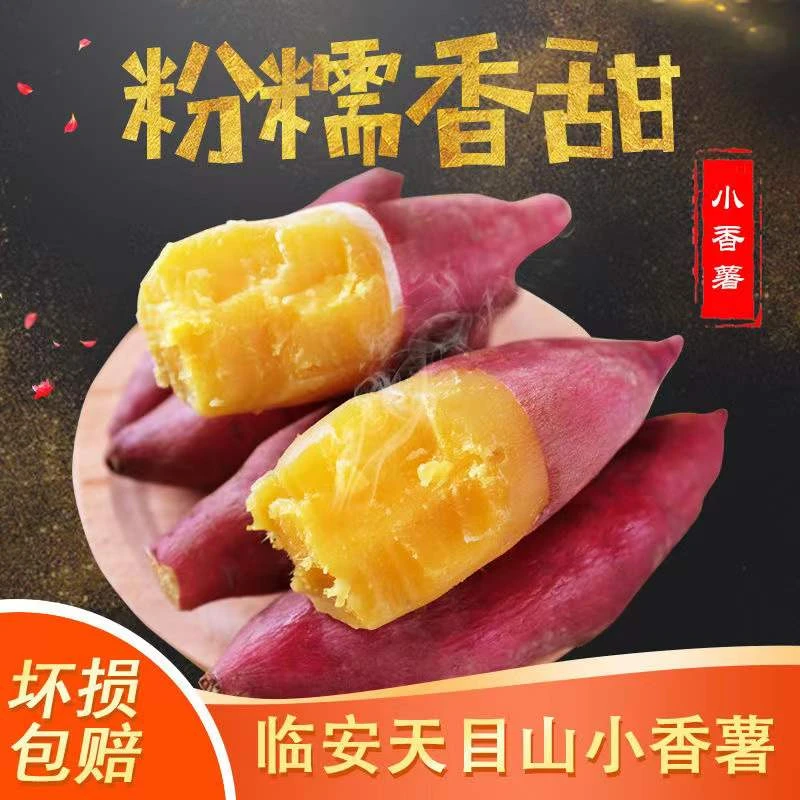 临安天目小香薯2斤装中果板栗红薯新鲜黄心软糯香甜地瓜粗粮辅食