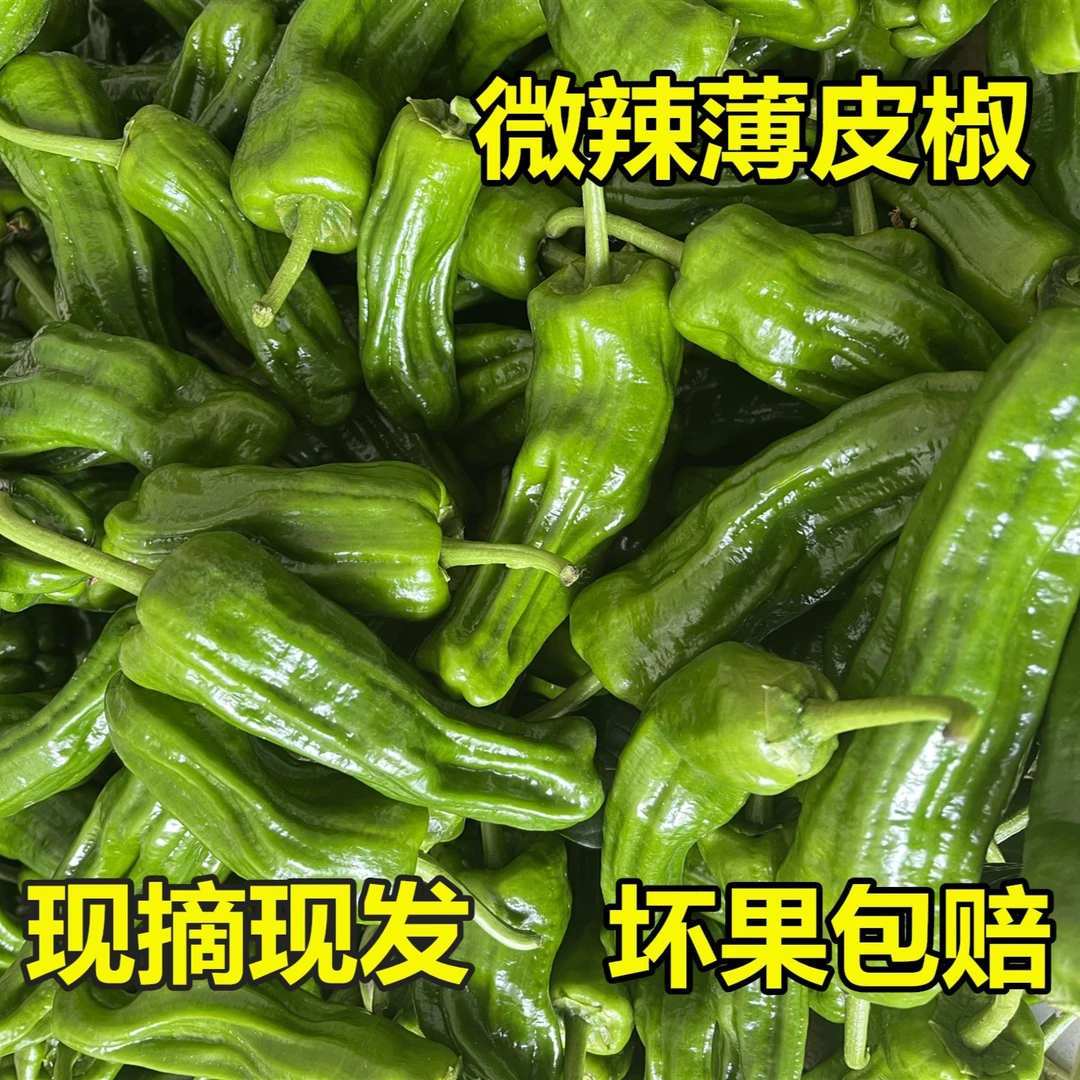 青辣椒新鲜现摘农家自种应季青椒薄皮椒芜湖椒虎皮椒2斤3斤农产品