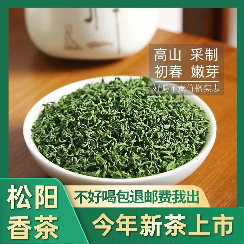 【严选好茶】松阳香茶老茶客高性价比 高山浓香型绿茶250g/500g