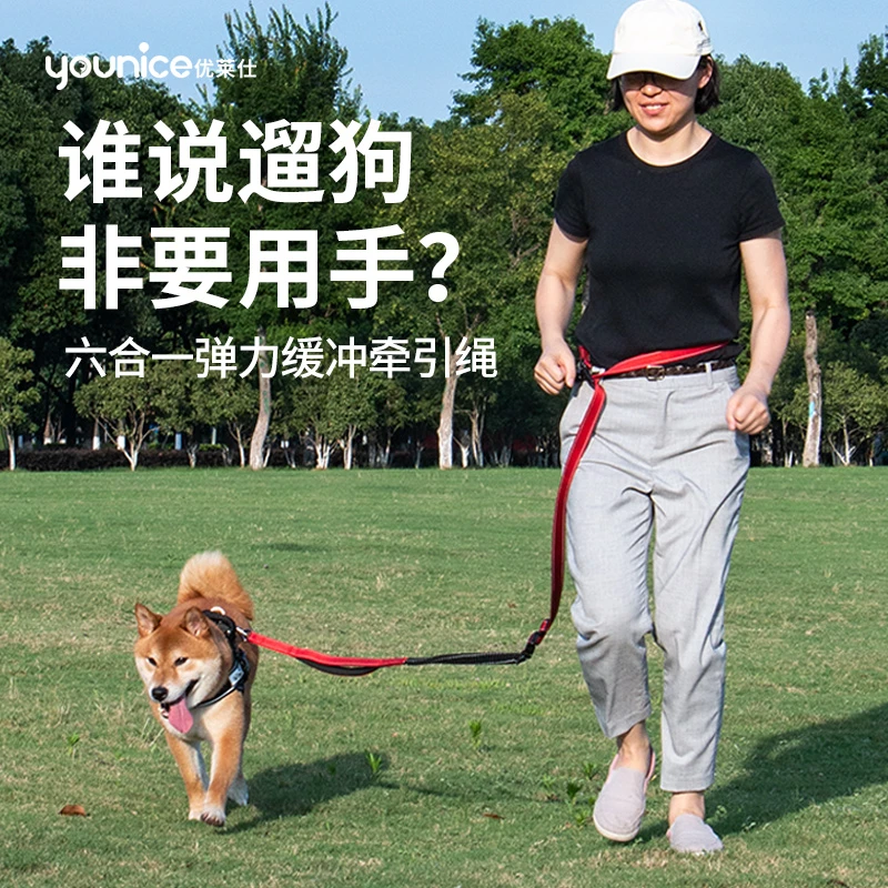 优莱仕狗狗牵引绳防爆冲跑步遛狗不勒手汽车中大型犬狗绳子
