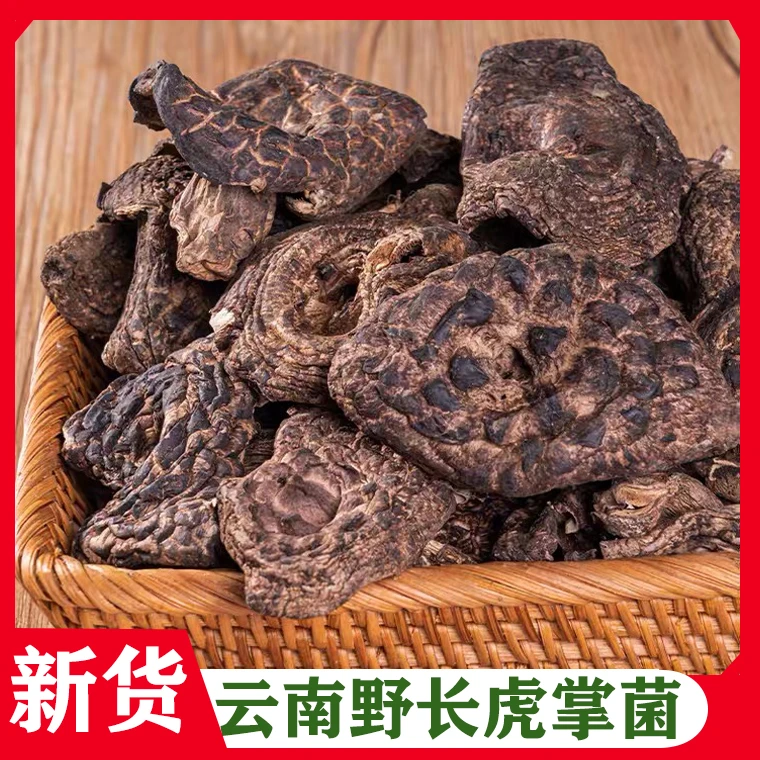 云南特产黑虎掌菌奇香炖菜醇香营养食用菌干货天然100克-500克