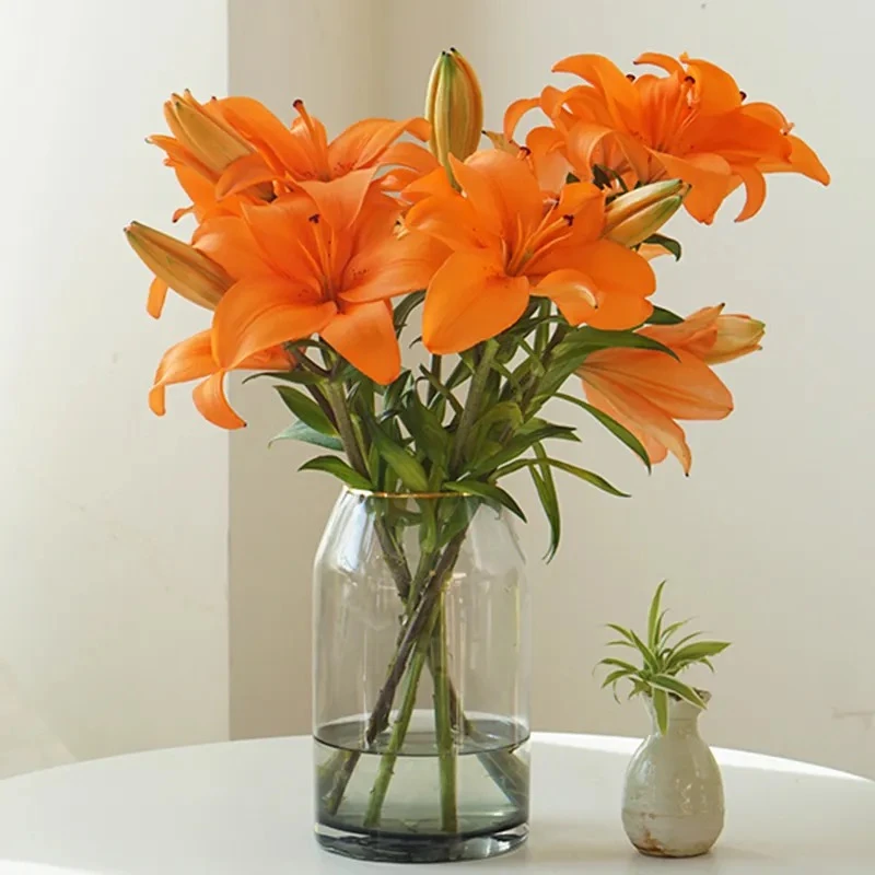 【若比邻优选】橙色梦想亚洲百合 无香的百合 昆明直发顺丰冷链包邮