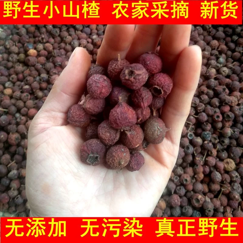 南山楂小山楂果干山楂豆 500g