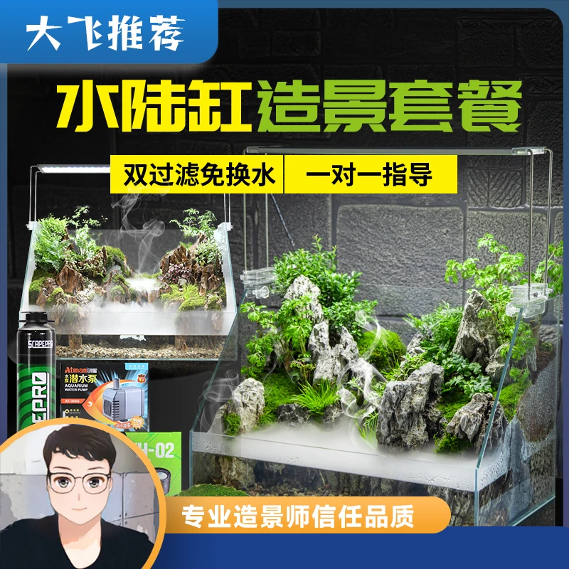 大飞玩造景水陆缸造景套餐金晶五线超白缸两栖造景套餐超白缸透明