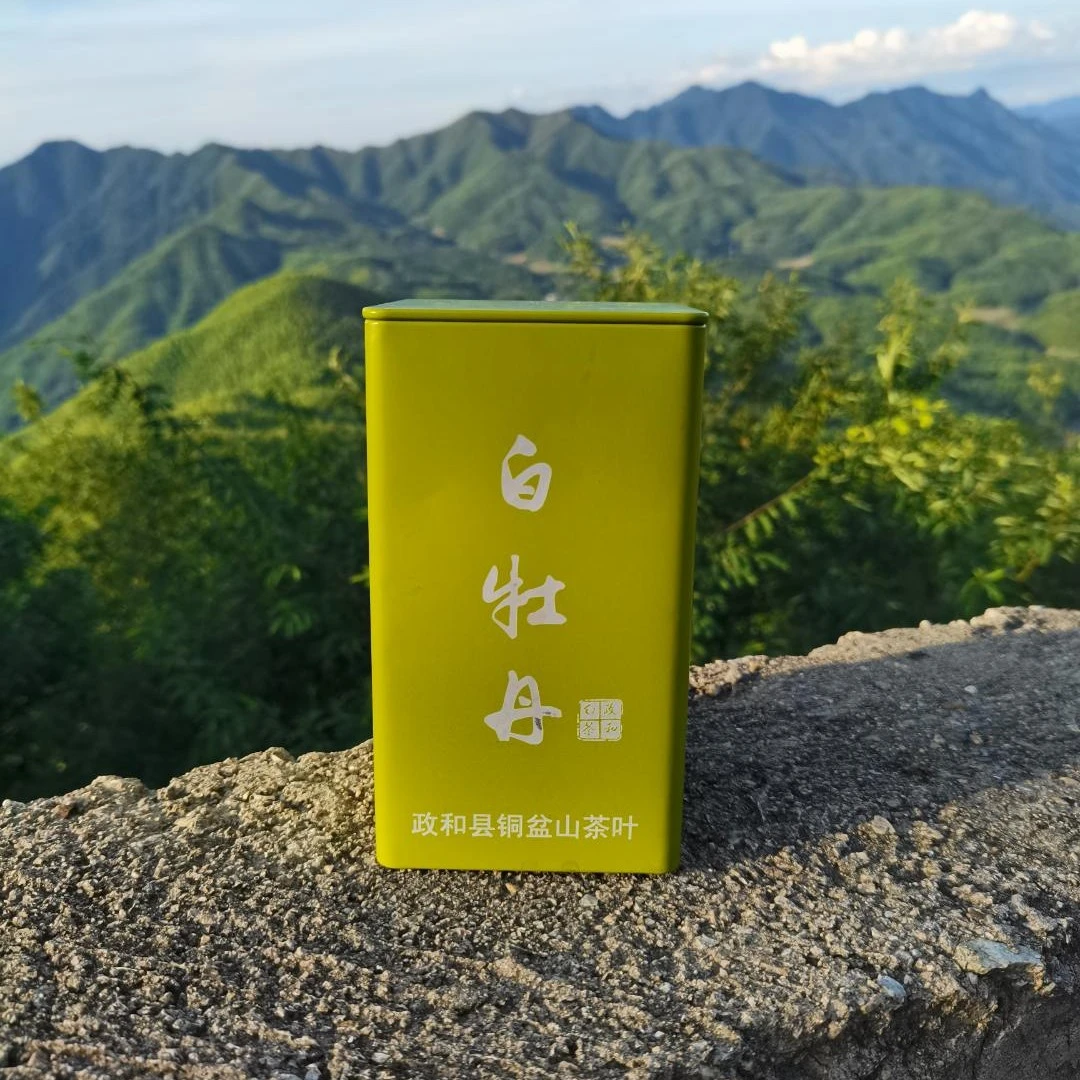 铜盆山2019年白牡丹50克