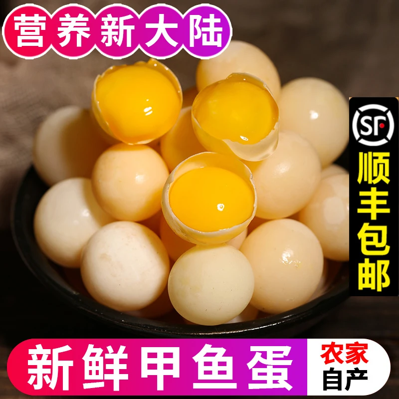 顺丰包邮甲鱼蛋新鲜现挖现发食用生态滋补营养宝宝辅食甲鱼蛋发货