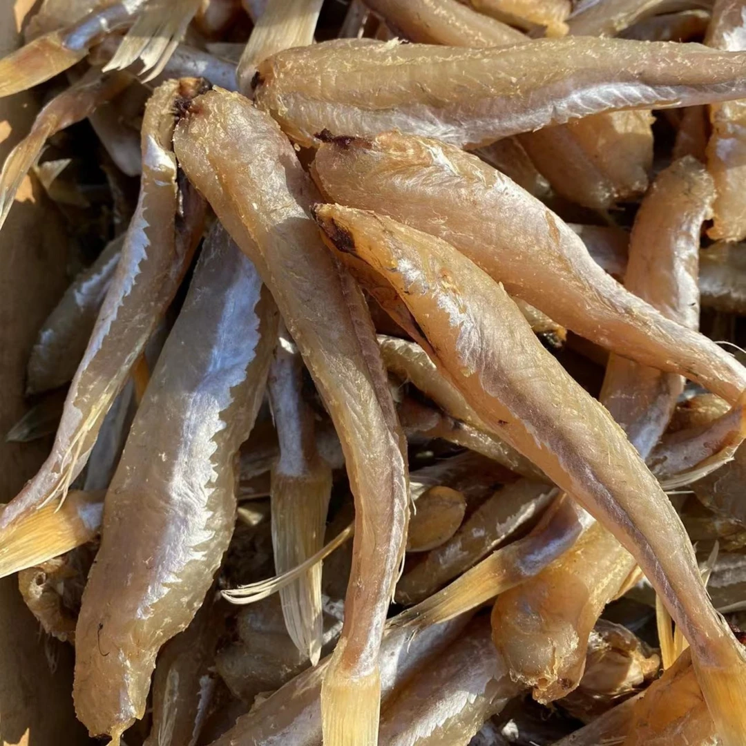 山东发货渤海湾咸半干红娘鱼红头棍3-5斤油煎美味