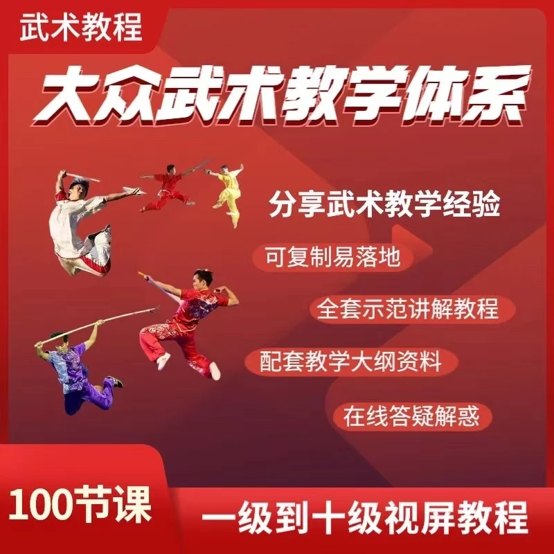 大众武术教学体系（一级到十级全套视频教程）